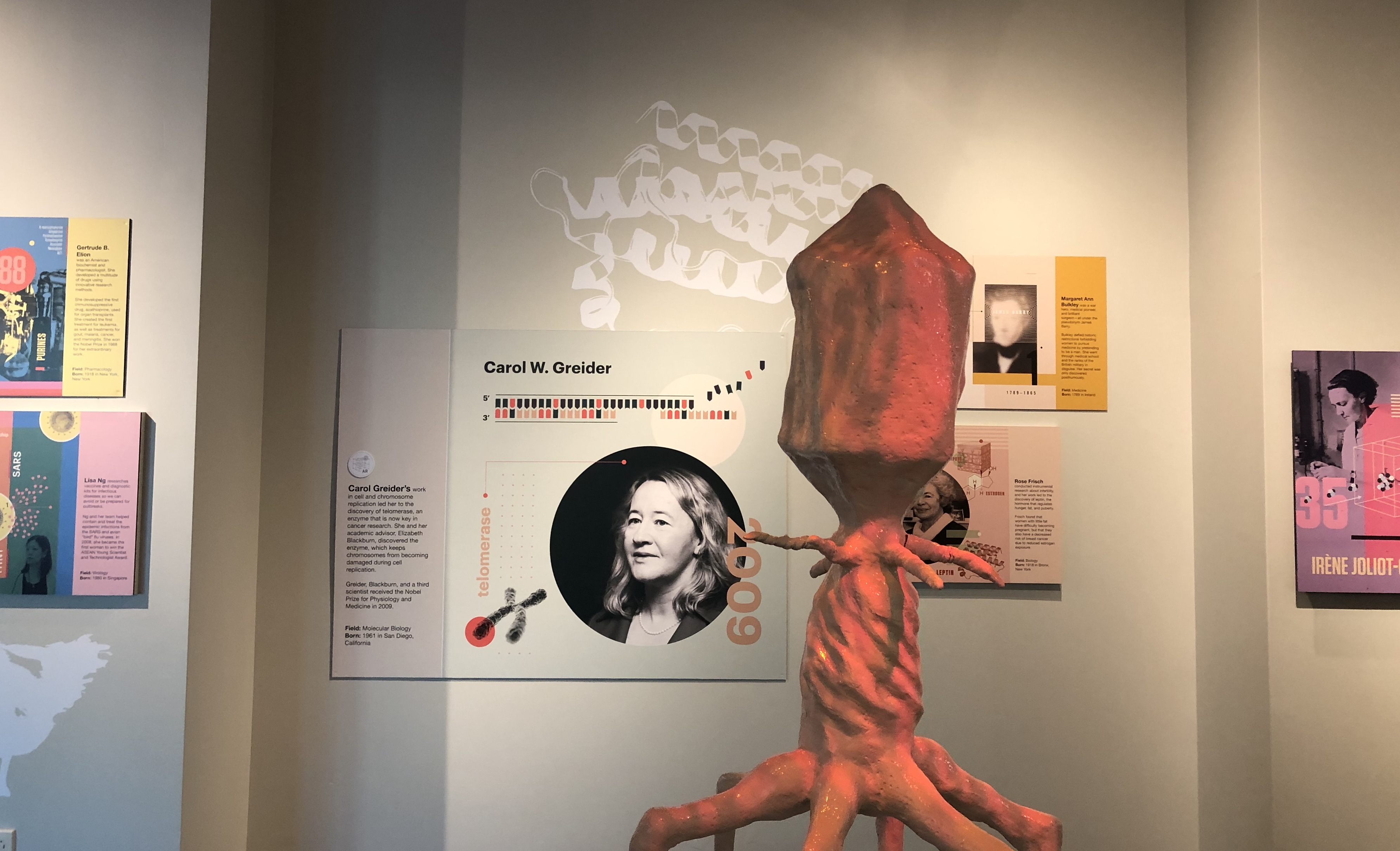 Figure 1. Beyond Curie exhibition at the North Carolina Museum of Natural Sciences(NCNMS), 2019. Photo by the author.